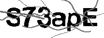 Loading CAPTCHA Image...